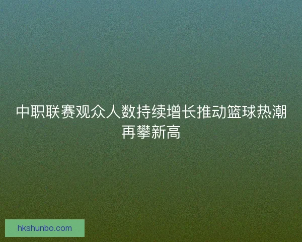 中职联赛观众人数持续增长推动篮球热潮再攀新高 中职联赛观众人数持续增长推动篮球热潮再攀新高