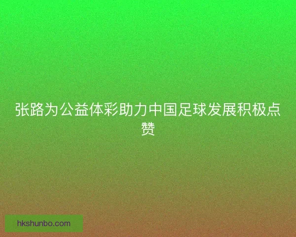 张路为公益体彩助力中国足球发展积极点赞